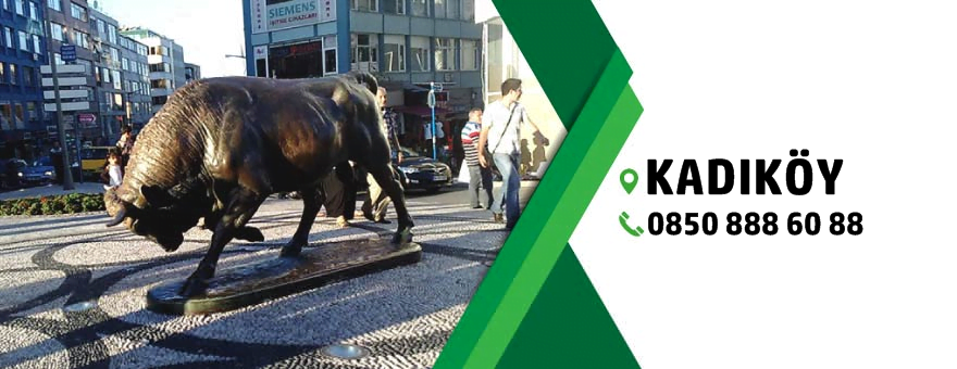 kadıköy böcek ilaçlama