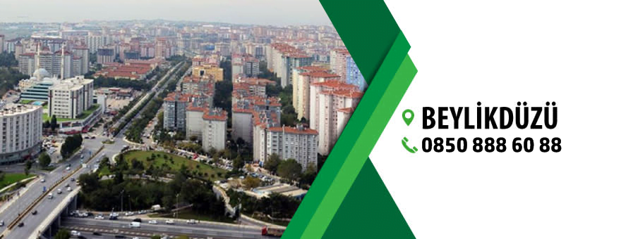 beylikdüzü böcek ilaçlama